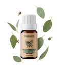 Huile Essentielle Eucalyptus