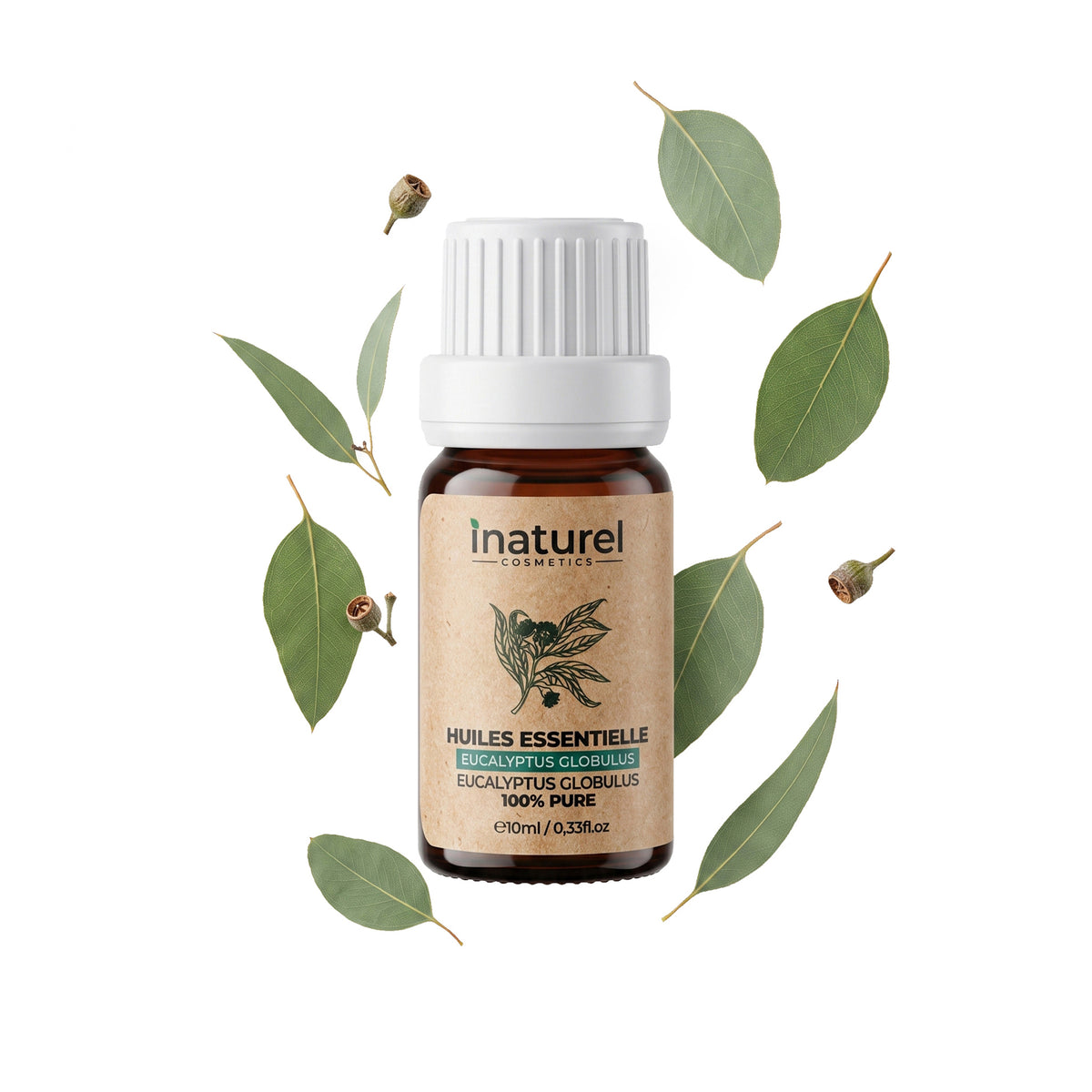 Huile Essentielle Eucalyptus
